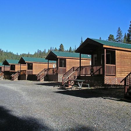 Yosemite Lakes Cabin 37 Harden Flat Екстериор снимка