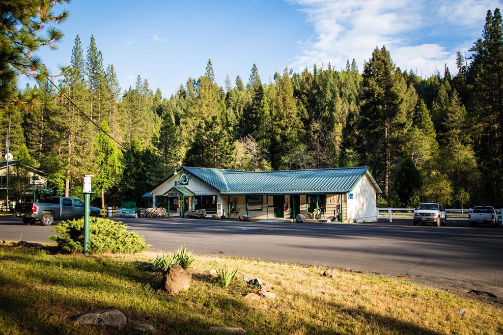 Yosemite Lakes Cabin 37 Harden Flat Екстериор снимка