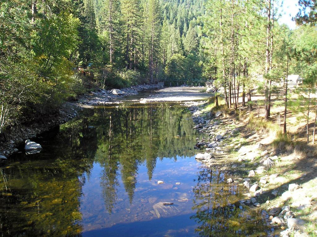 Yosemite Lakes Cabin 37 Harden Flat Екстериор снимка